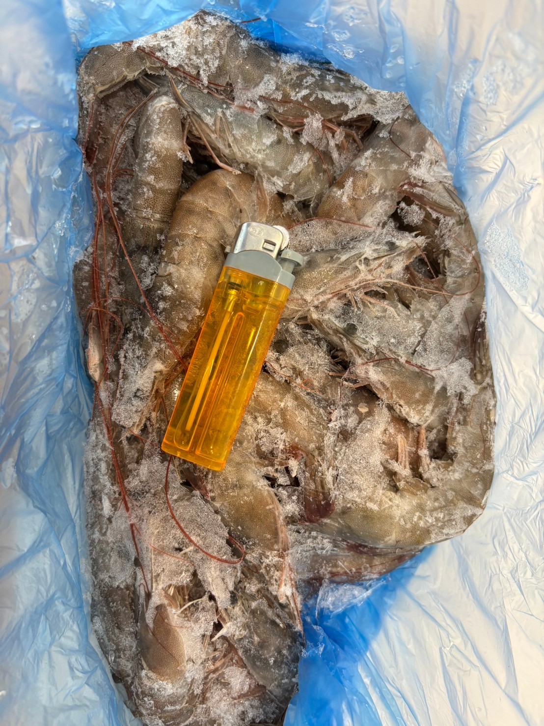 Line Album 照片 241228 1